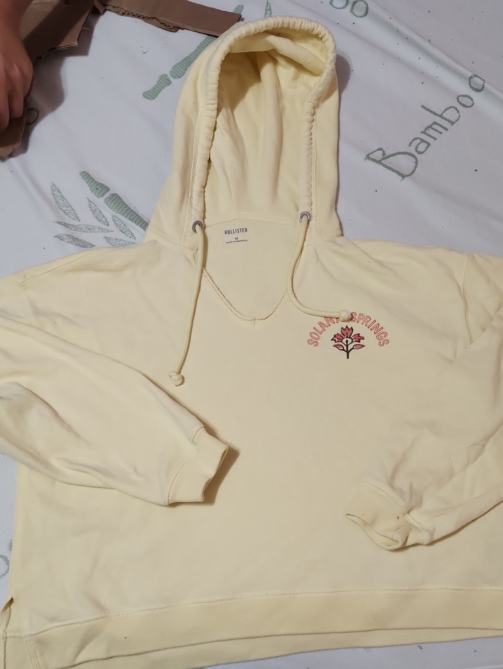 Hollister Cream Solar Springs Pullover Hoodie